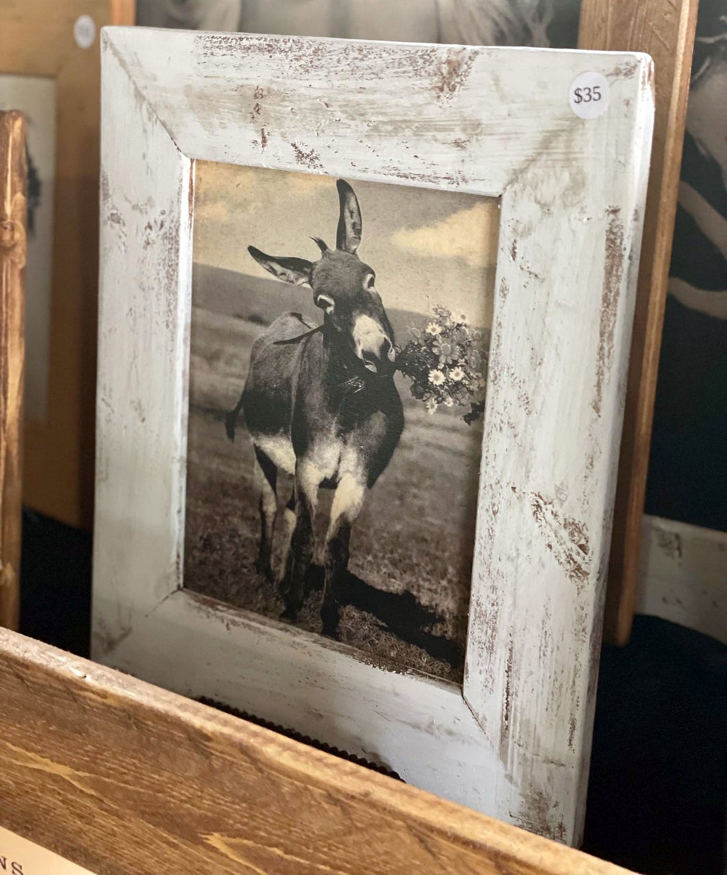 Donkey with Flowers Framed Vintage Picture